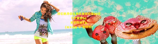 круглые Алексеевка