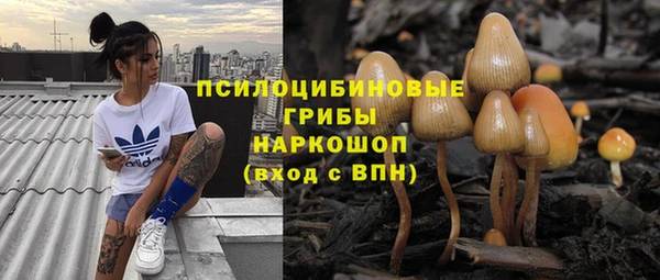 герыч Алзамай