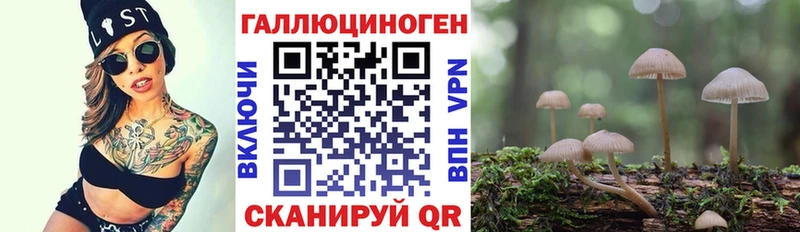 Псилоцибиновые грибы MAGIC MUSHROOMS Заинск