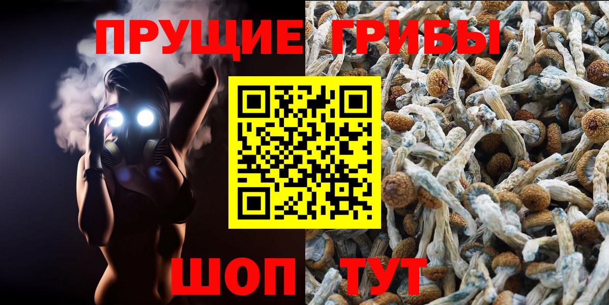 Галлюциногенные грибы мицелий Заинск
