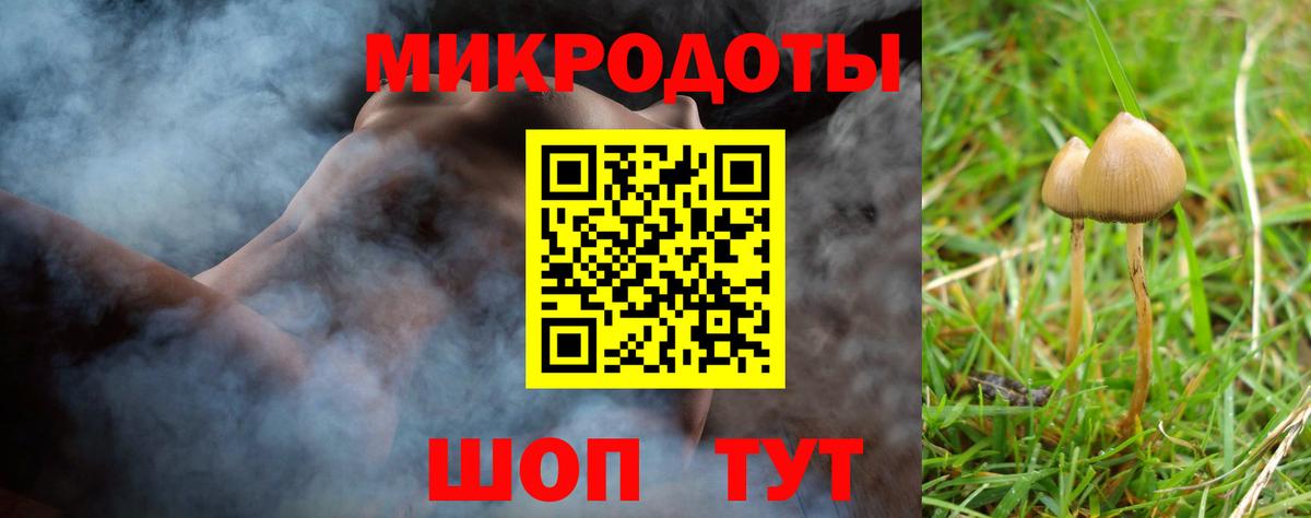 цены   Псилоцибиновые грибы Psilocybe  Вход с VPN  Псилоцибиновые грибы ЛСД  Заинск 